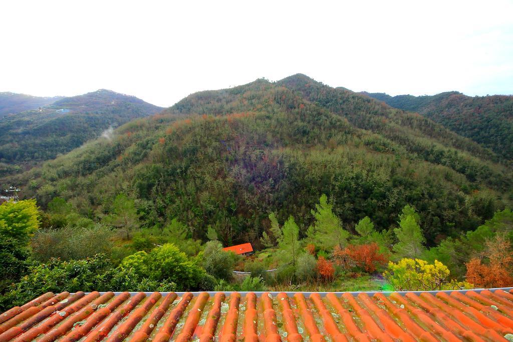 La Favorita Apricale B&B & Ristorante Phòng bức ảnh